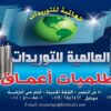 طلمبات اعماق غاطسة